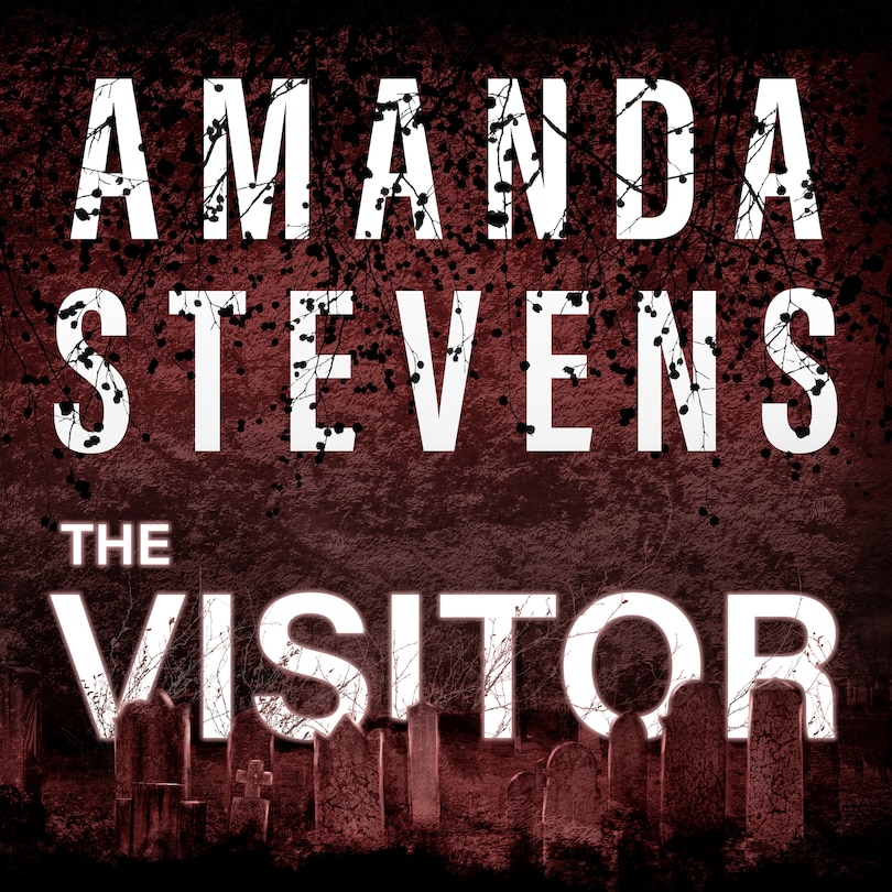 Front cover_The Visitor