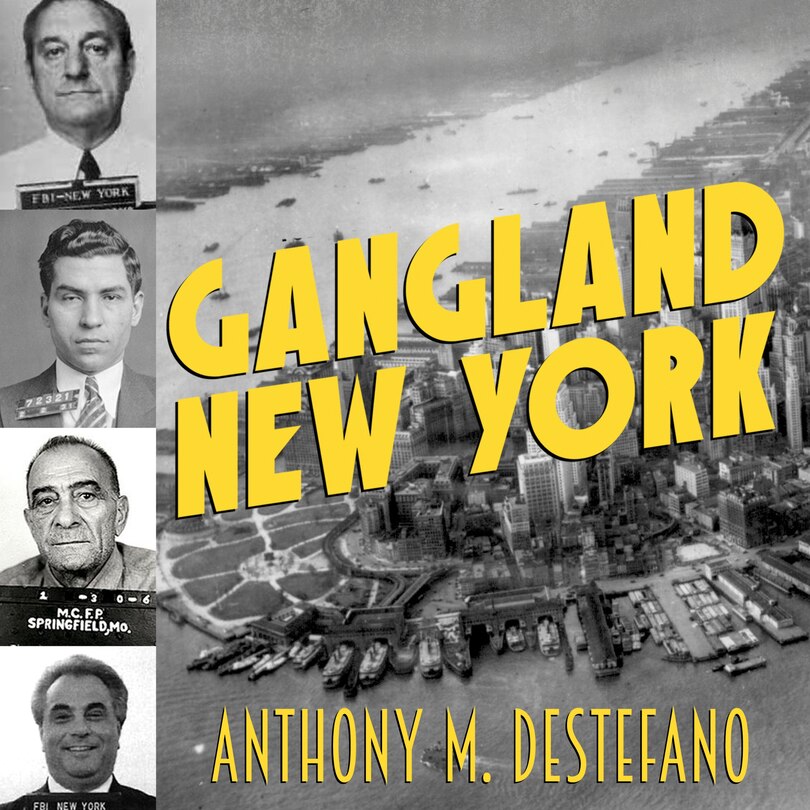 Couverture_Gangland New York