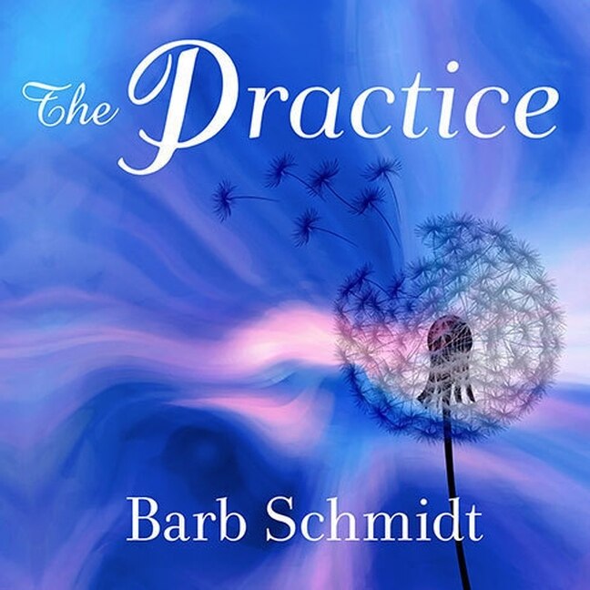 Couverture_The Practice