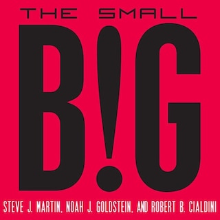 Couverture_The Small Big