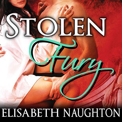 Couverture_Stolen Fury