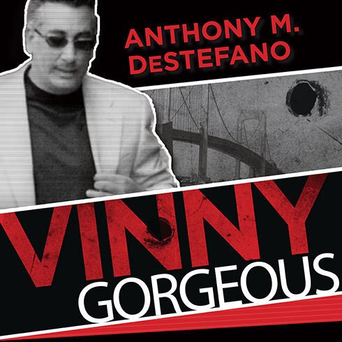 Couverture_Vinny Gorgeous