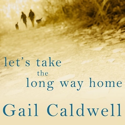 Couverture_Let's Take the Long Way Home