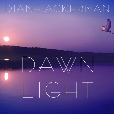 Front cover_Dawn Light