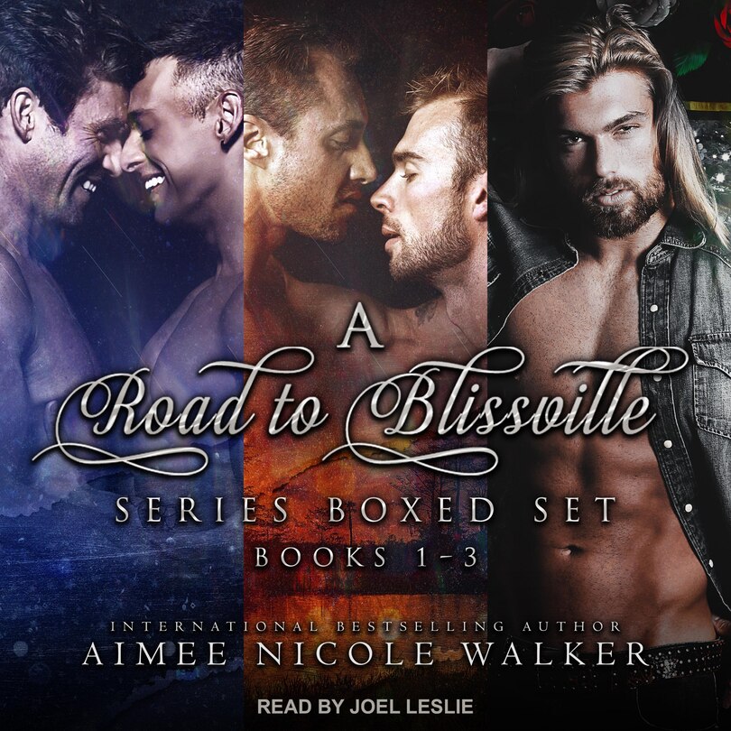 Road To Blissville Series Boxed Set Lib/e: Books 1-3