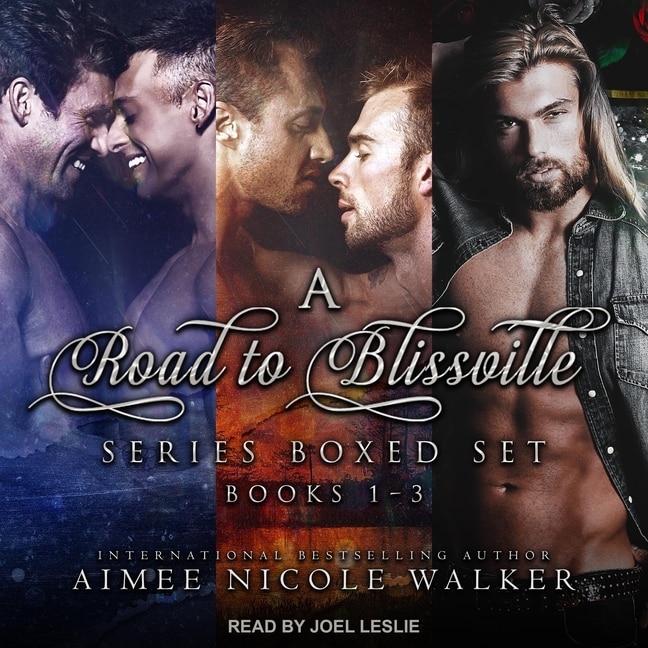 Front cover_Road To Blissville Series Boxed Set