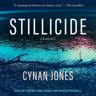 Couverture_Stillicide