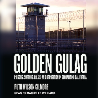 Golden Gulag: Prisons, Surplus, Crisis, And Opposition In Globalizing California