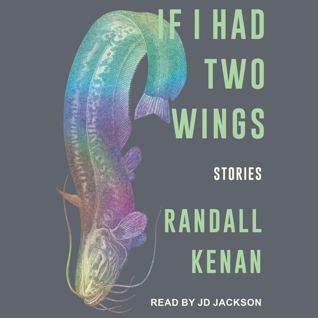 Front cover_If I Had Two Wings