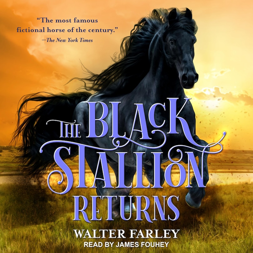 Front cover_The Black Stallion Returns