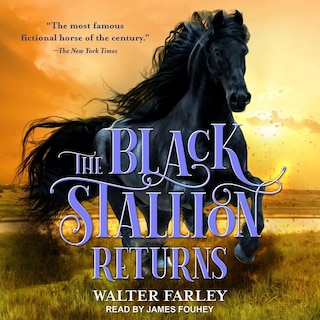 Front cover_The Black Stallion Returns