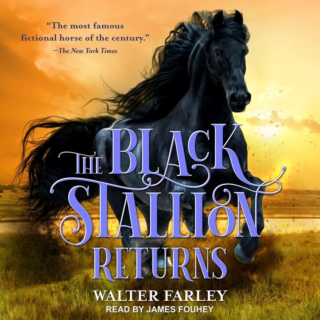Front cover_The Black Stallion Returns