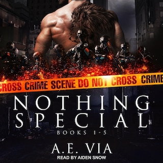 Front cover_Nothing Special Series Box Set