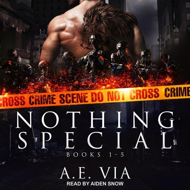 Front cover_Nothing Special Series Box Set