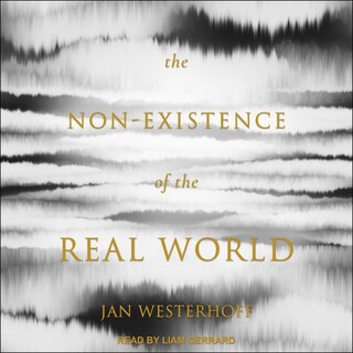 Couverture_The Non-existence Of The Real World