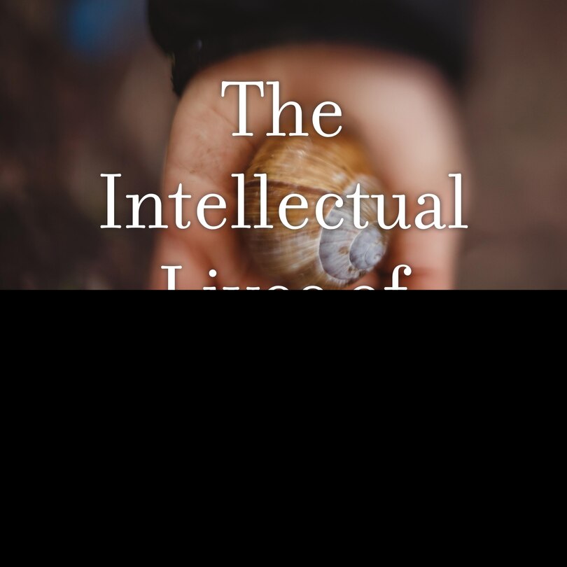 Couverture_The Intellectual Lives Of Children