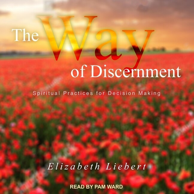 Front cover_The Way Of Discernment