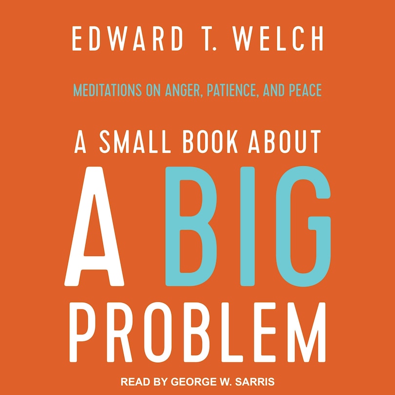 Front cover_A Small Book About A Big Problem