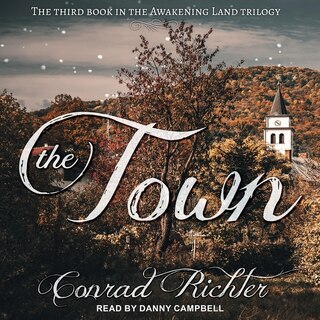 Front cover_The Town Lib/E
