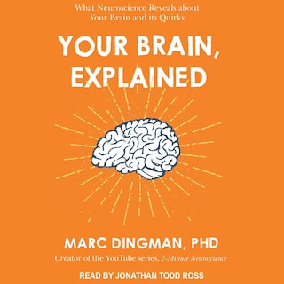 Front cover_Your Brain, Explained