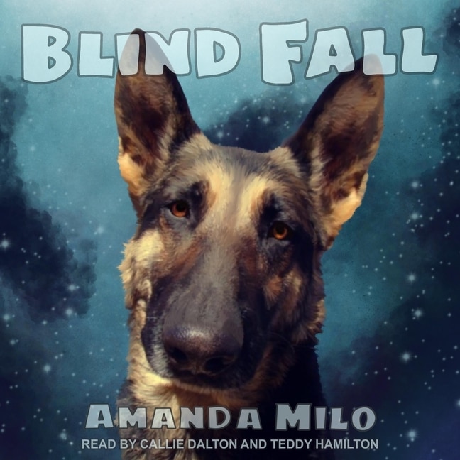 Couverture_Blind Fall