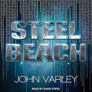 Couverture_Steel Beach