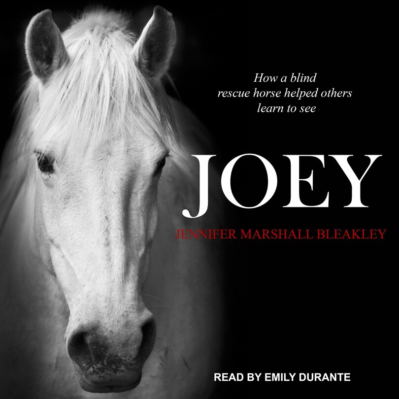 Front cover_Joey