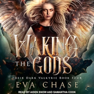 Couverture_Waking The Gods
