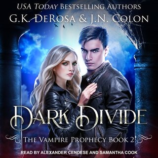 Couverture_Dark Divide