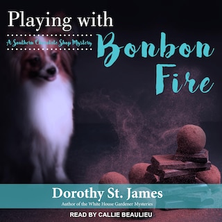 Couverture_Playing With Bonbon Fire