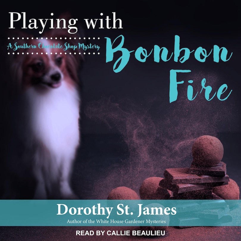 Couverture_Playing With Bonbon Fire