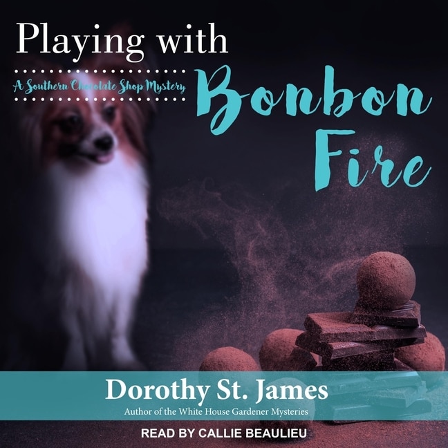 Couverture_Playing With Bonbon Fire