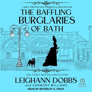 Couverture_The Baffling Burglaries Of Bath