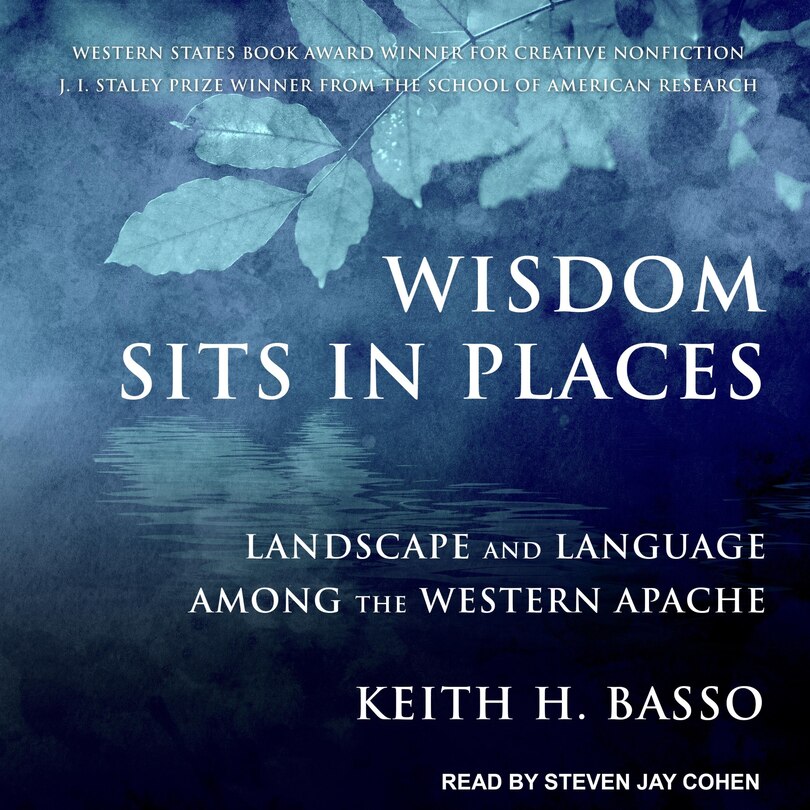 Couverture_Wisdom Sits In Places