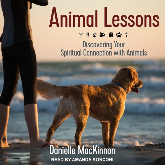 Couverture_Animal Lessons Lib/E
