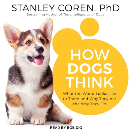 How Dogs Think: What The World Looks Like To Them And Why They Act The Way They Do