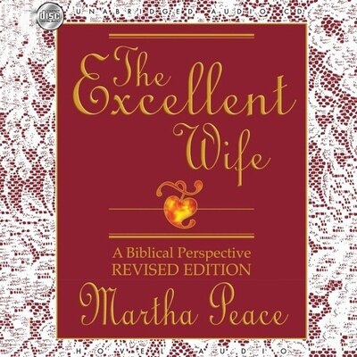 Front cover_Excellent Wife