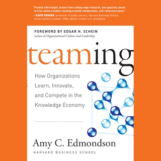 Teaming: How Organizations Learn, Innovate, and Compete in the Knowledge Economy