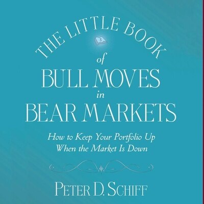 Front cover_The Little Book of Bull Moves in Bear Markets