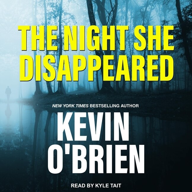 Couverture_The Night She Disappeared