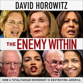 Front cover_The Enemy Within