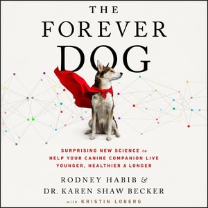 Front cover_The Forever Dog
