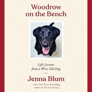 Front cover_Woodrow On The Bench