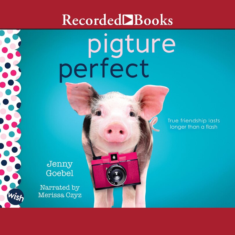 Front cover_Pigture Perfect