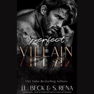 Front cover_Perfect Villain