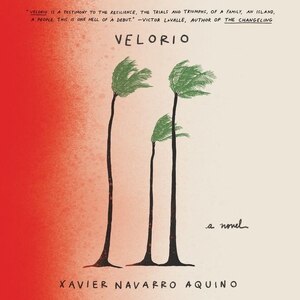 Velorio: A Novel