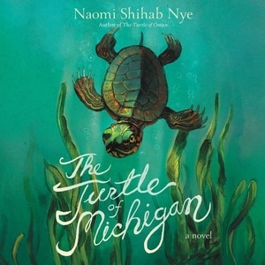 Couverture_The Turtle Of Michigan