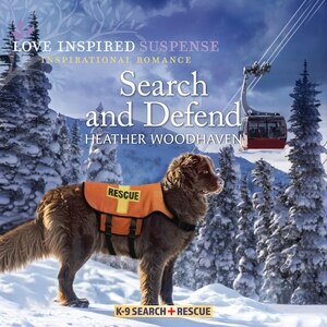 Couverture_Search And Defend