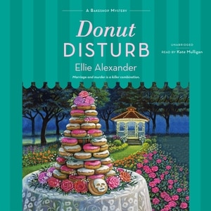 Couverture_Donut Disturb