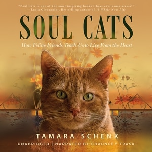 Couverture_Soul Cats